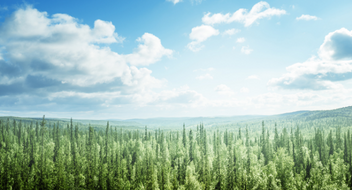 Espresso-Analyse - Auditergebnisse im Umweltmanagement