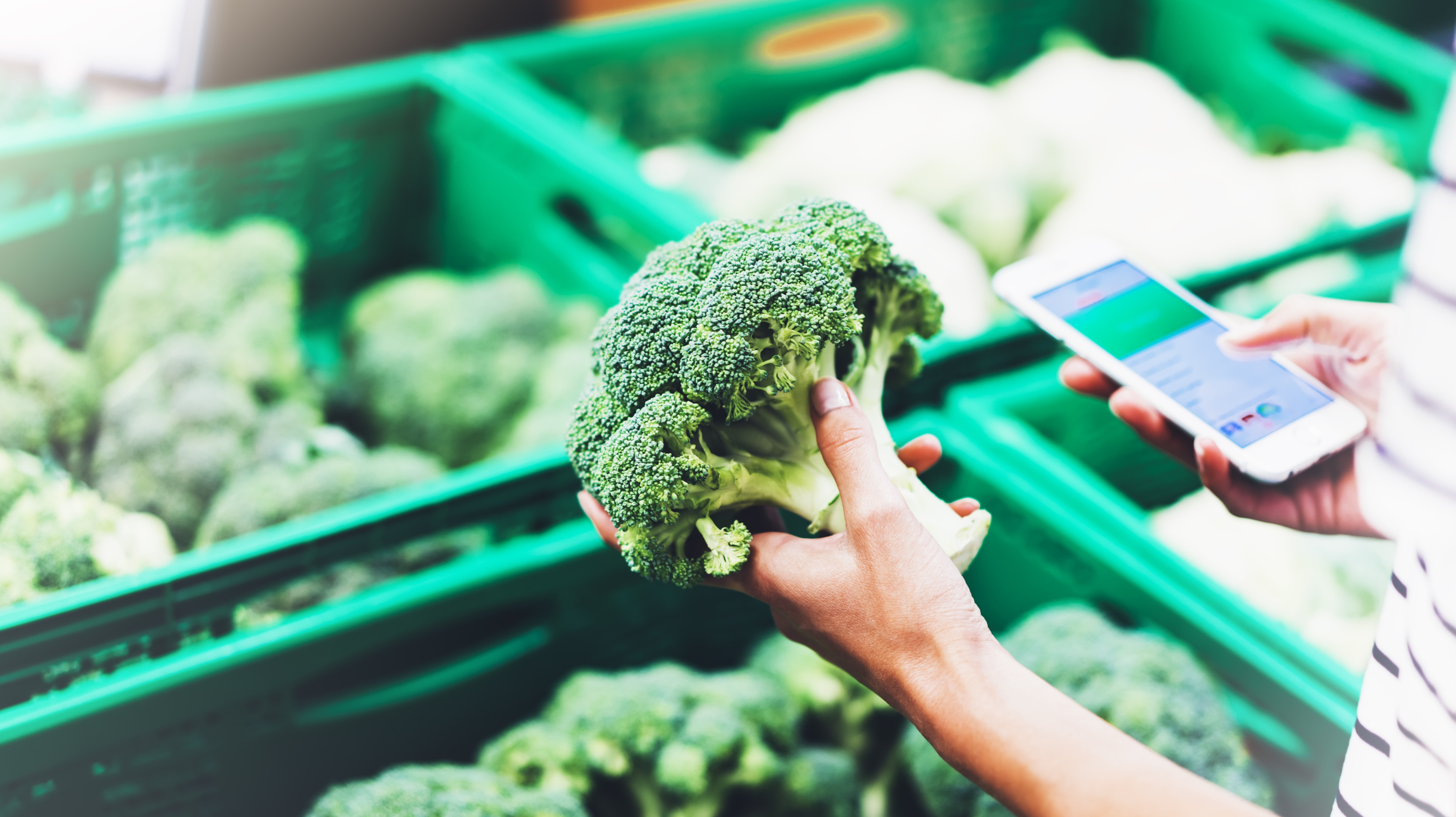 Die sieben Prinzipien des HACCP-Systems