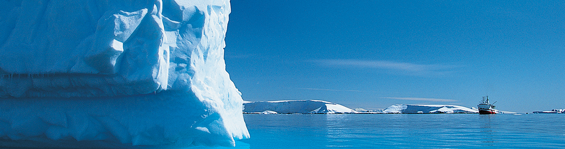 Environmental Risk Management