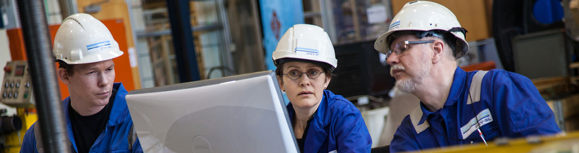 Qualitative safety studies