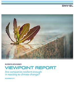 ViewPoint Report