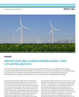 Beratung bei Ausschreibungen von Windprojekten
