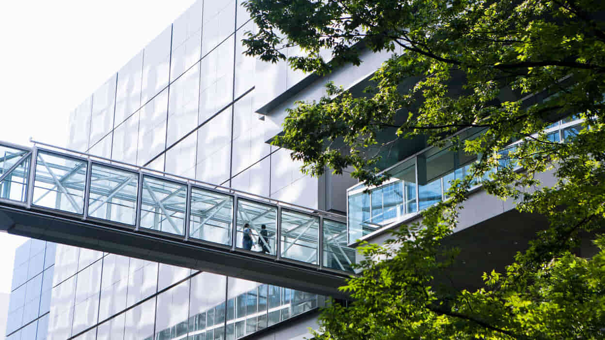 ISO 14001-Zertifizierung: Umweltmanagement