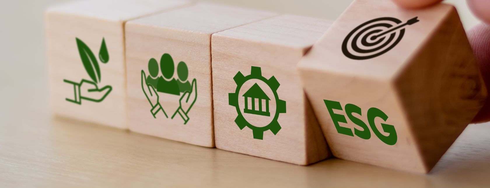 Training zu ESG und Managementsystemen