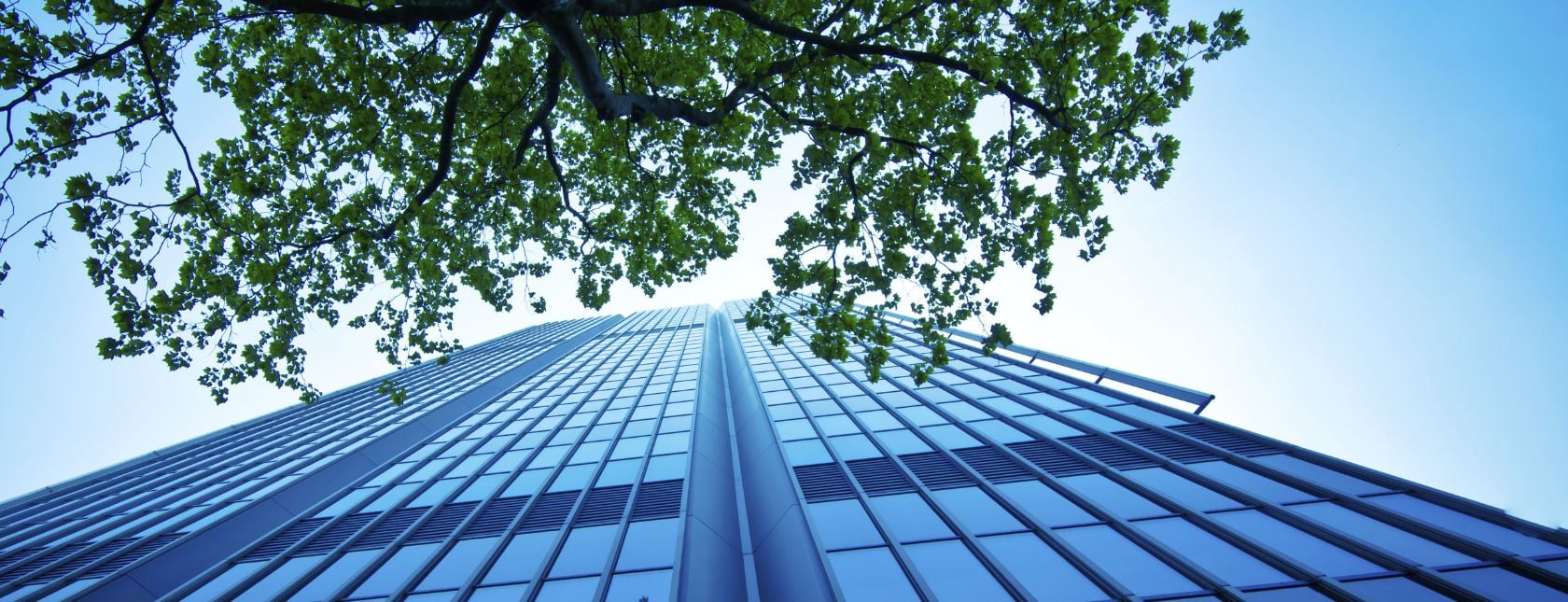 Modernes Bürogebäude mit Baum
