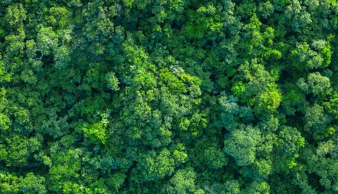 Revision der ISO 14001