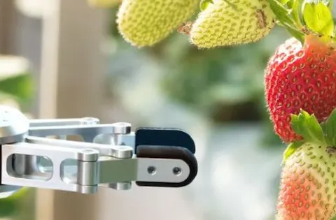 Lebensmittelsicherheitsrisiken und Hygienevorschriften