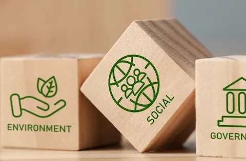 ESG-Risiken: Definition und Managementstrategien