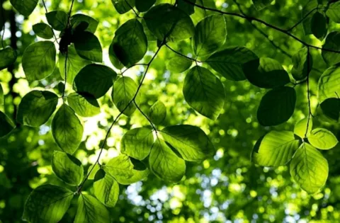 ISO 14001:2026 Training für die Umstellung