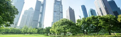 DNV GL Business Green Image