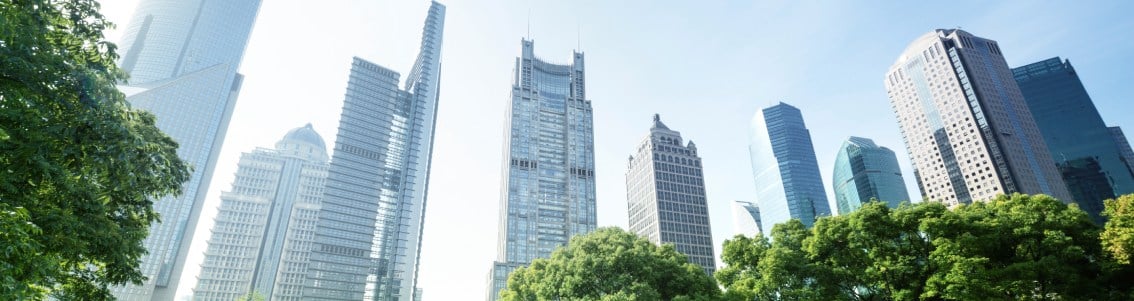 Corporate Sustainability Reporting Directive (CSRD) 