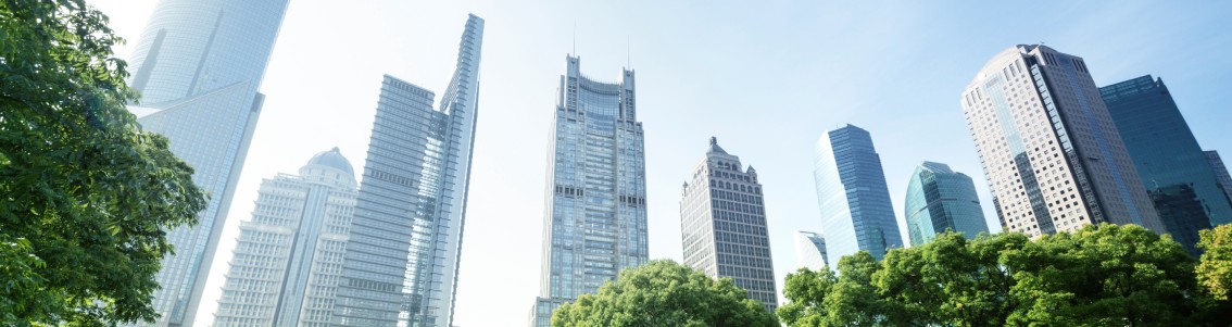 Shaping the Future of Sustainability Reporting