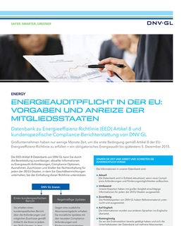 Energieauditpflicht in der EU: vorgaben und anreize der Mitgliedsstaaten