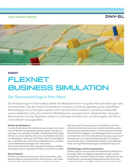 FleXnet business simulation