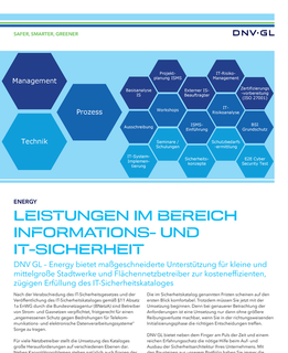 Leistungen im Bereich Informations- und IT-Sicherheit