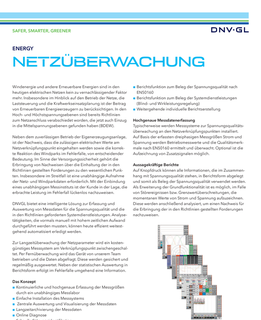Netzüberwachung