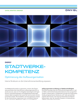 Stadtwerkekompetenz - Aufbauorganisation