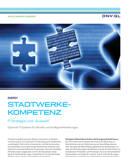 Stadwerke-Kompetenz IT-Strategie und -Auswahl