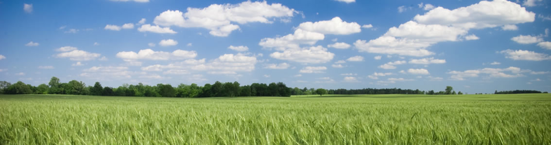 Energie- und Umweltpolitik