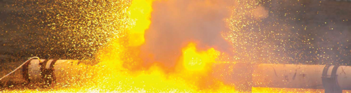 Management von Risiken im Bereich Prozess