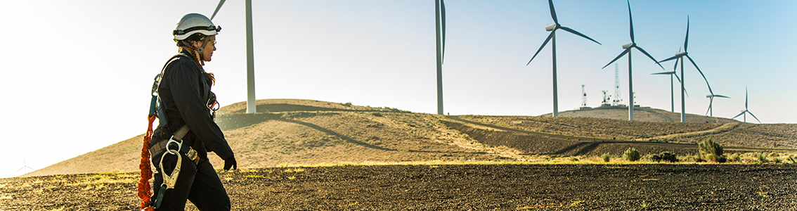 Asset Management für Erneuerbare-Energien-Projekte
