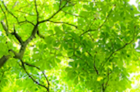 Einführungskurs in die ISO 14001