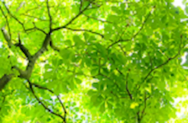 Einführungskurs in die ISO 14001