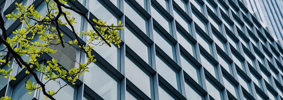 Environment_and_energy