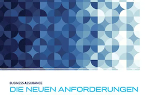 Kapitel 6.1 - Maßnahmen zum Umgang mit Risiken und Chancen