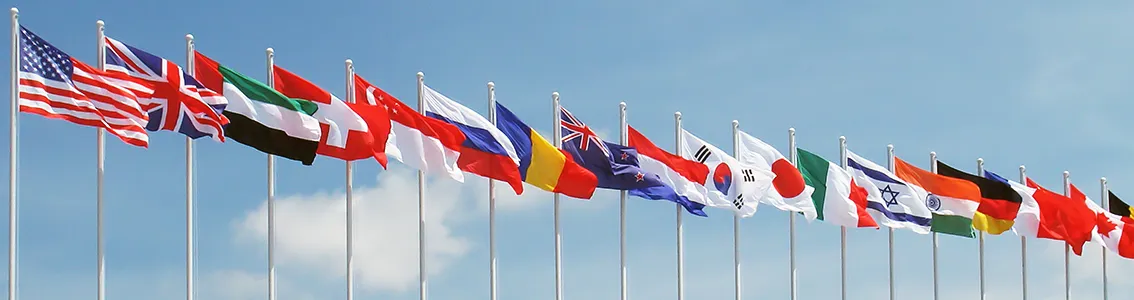 Flags_1134x300