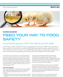 Flyer herunterladen (englisch)