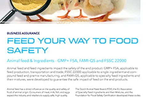 Flyer herunterladen (englisch)