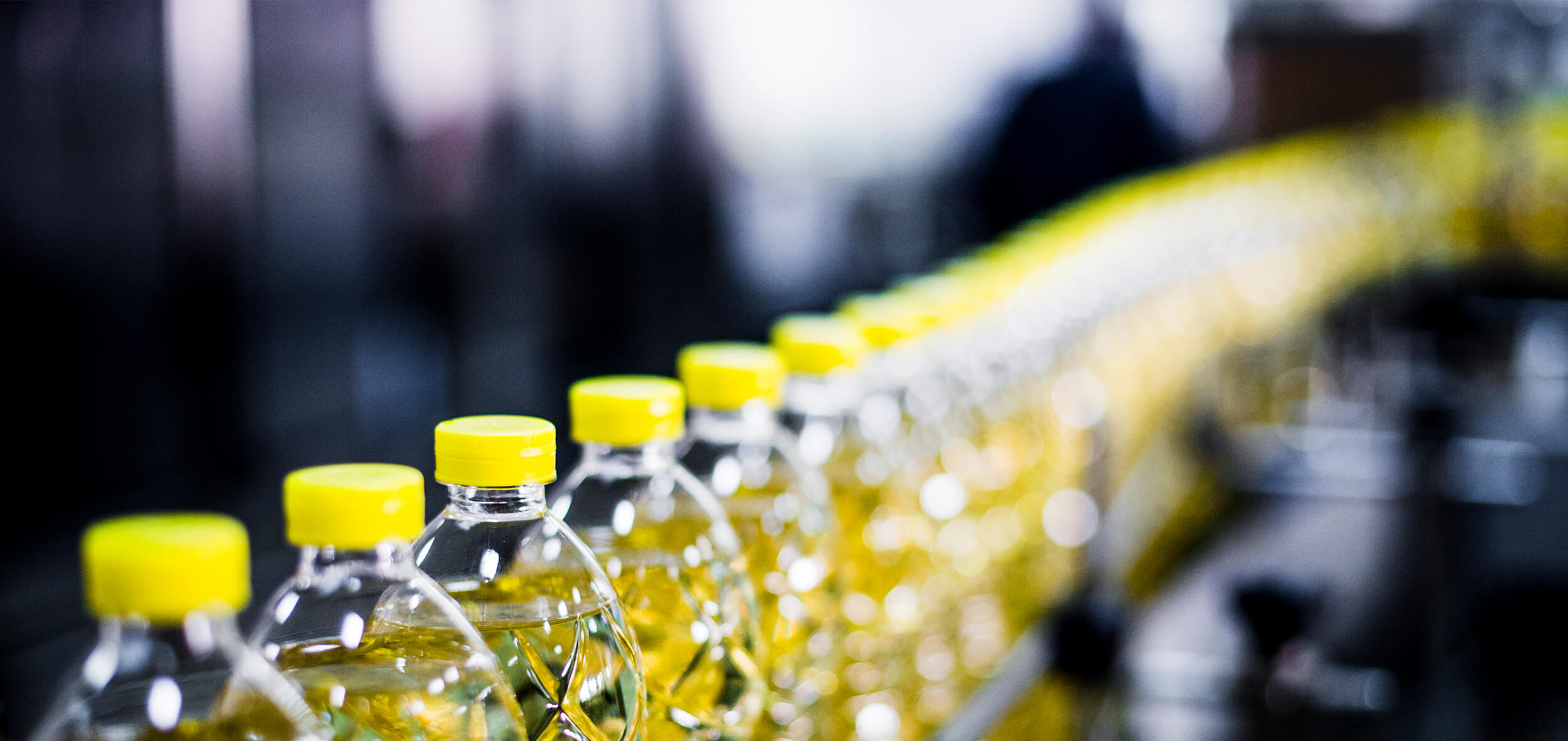 Production line of sunflower oil