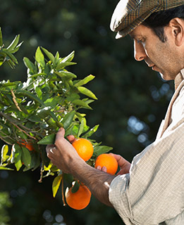 Trainings für die Lebensmittelindustrie
