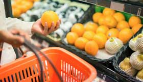 Lebensmittelsicherheit