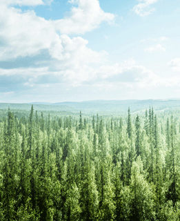 Analyse der Auditergebnisse