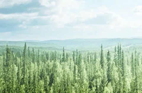 Analyse der Auditergebnisse