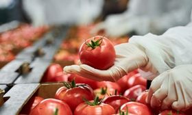 IFS Zertifizierung: Global Markets Food