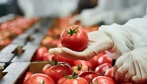 IFS Zertifizierung: Global Markets Food