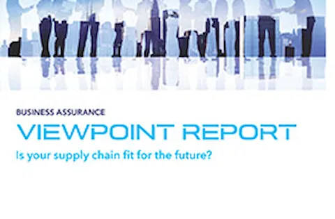 ViewPoint Report