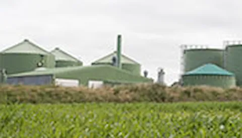 ISCC PLUS Zertifizierung für Kreislaufwirtschaft und Bioökonomie