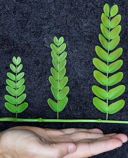 Unser Trainingsangebot