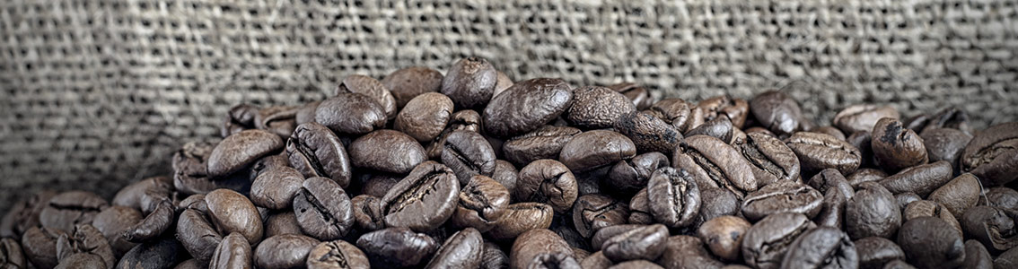 ISO 22000 Zertifizierung Lebensmittelsicherheit