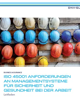 ISO 45001 - Leitfaden