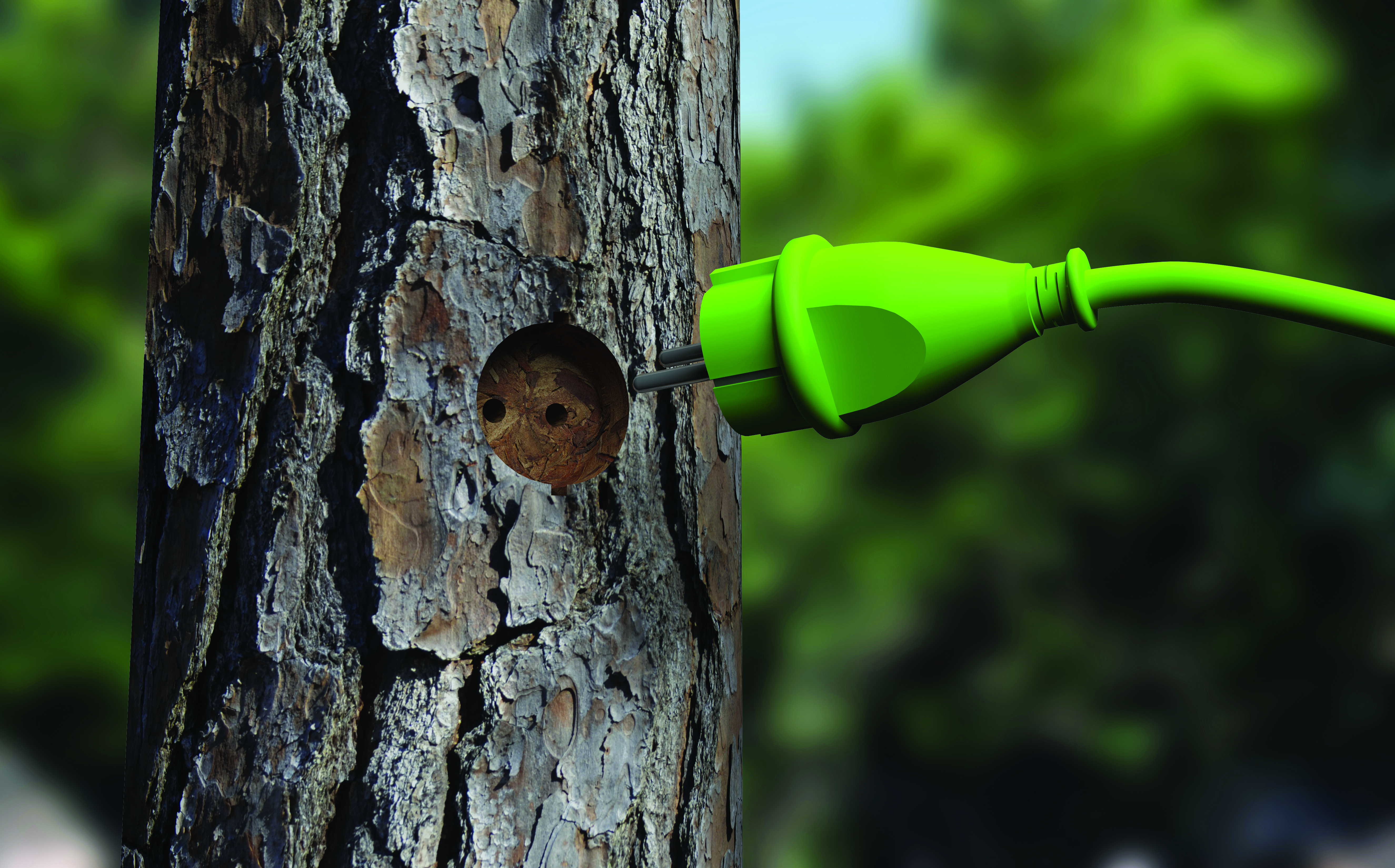 Ökobilanzierung und Nachhaltigkeit von Produkten