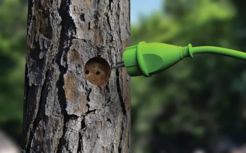 Ökobilanzierung und Nachhaltigkeit von Produkten