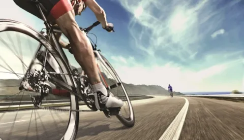 Unsere Trainings für Sie