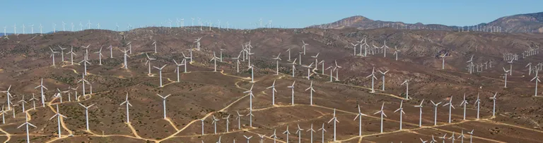 Fernerkundung für Windenergieprojekte
