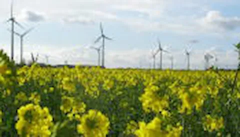 Schallmessungen bei Windenergieanlagen