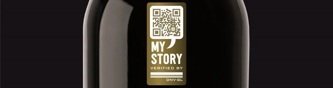 DNV GL My Story